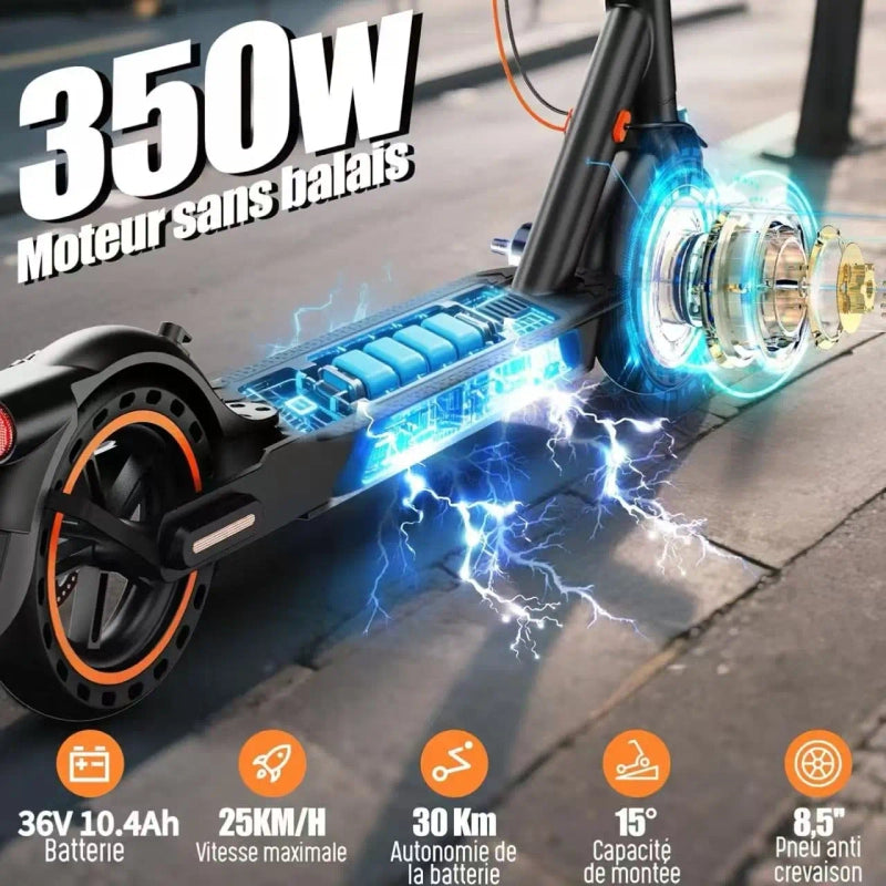https://cdn.dropmagic.ai/medias/b45df19a-b165-4f84-883e-ab7a6e24b12e.webp